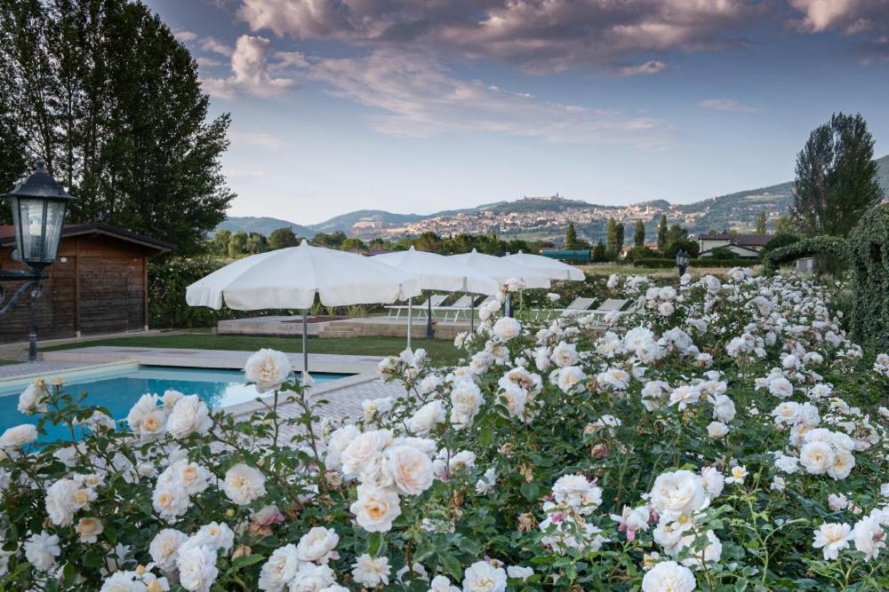 Il Fienile Di Assisi Villa Eksteriør bilde