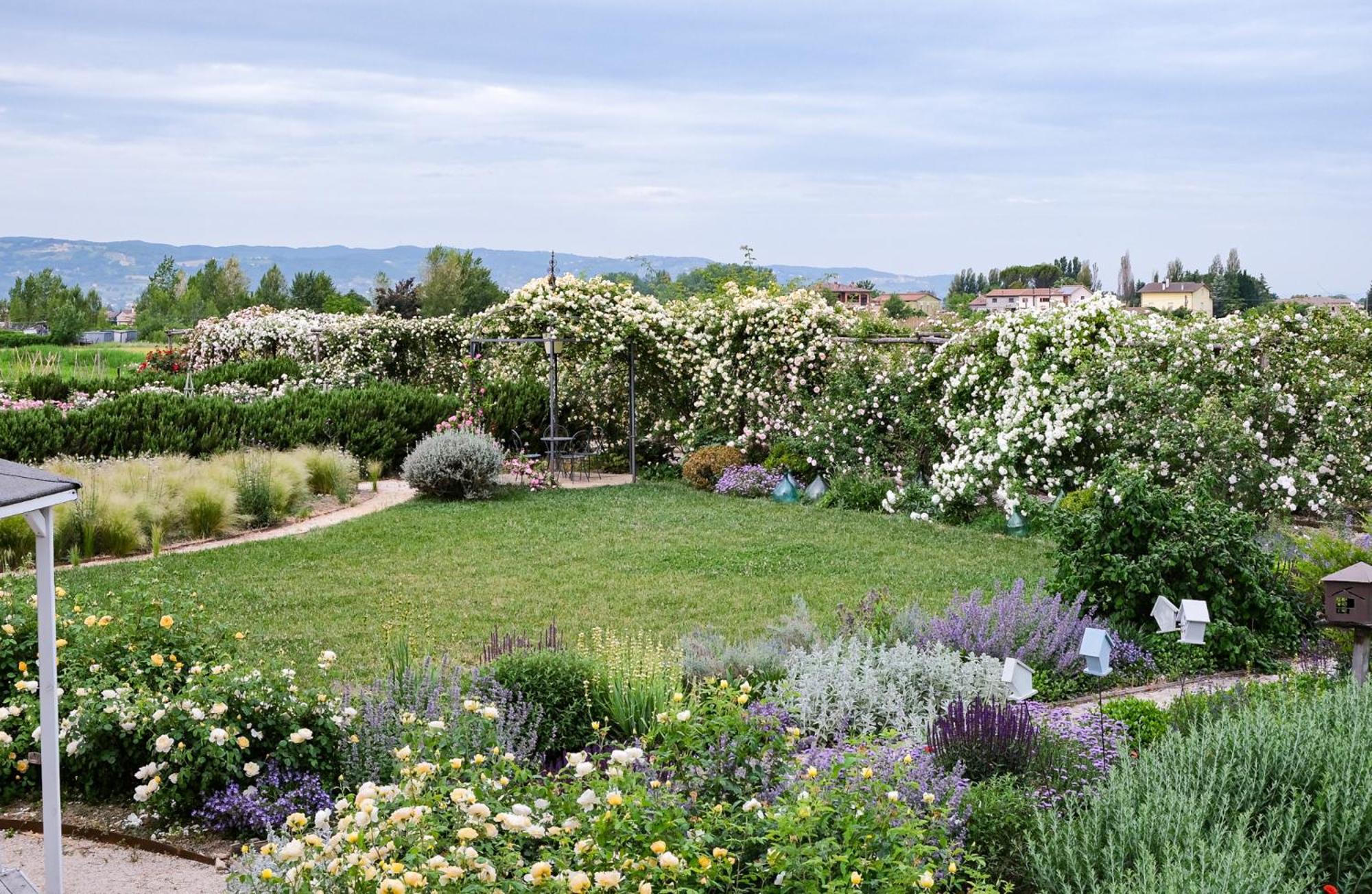 Il Fienile Di Assisi Villa Eksteriør bilde