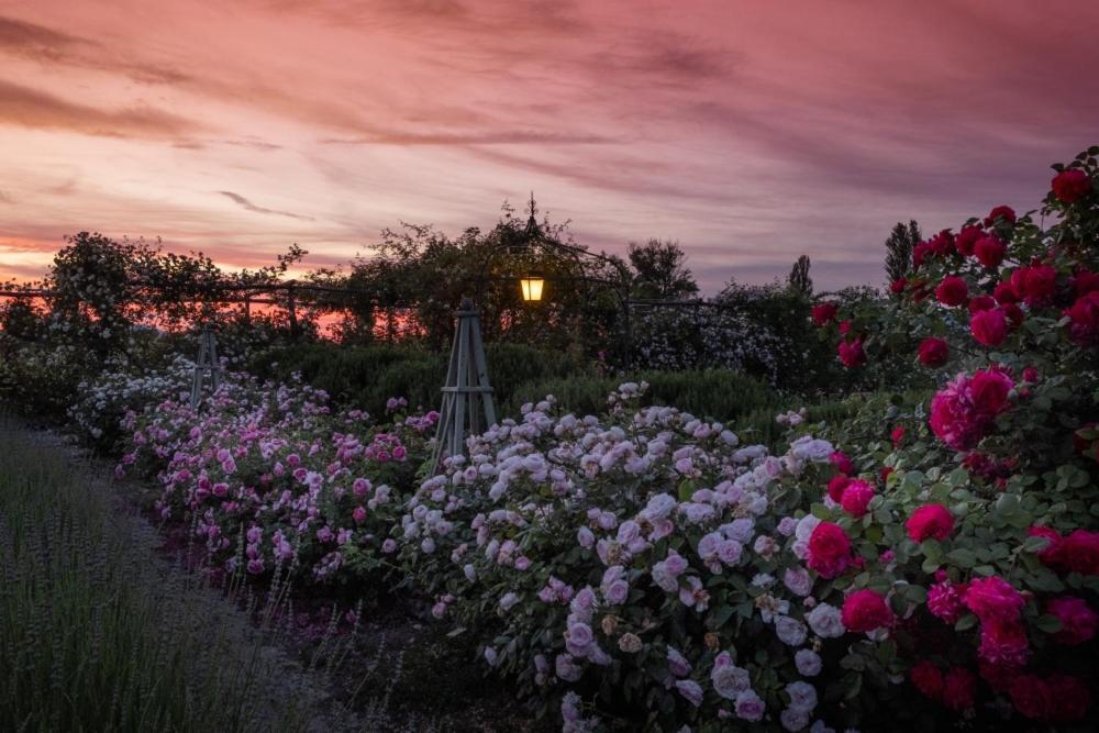 Il Fienile Di Assisi Villa Eksteriør bilde
