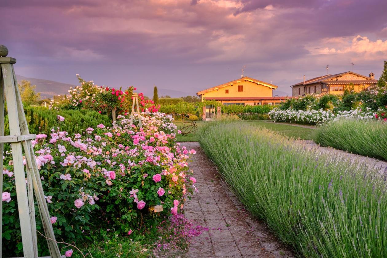 Il Fienile Di Assisi Villa Eksteriør bilde