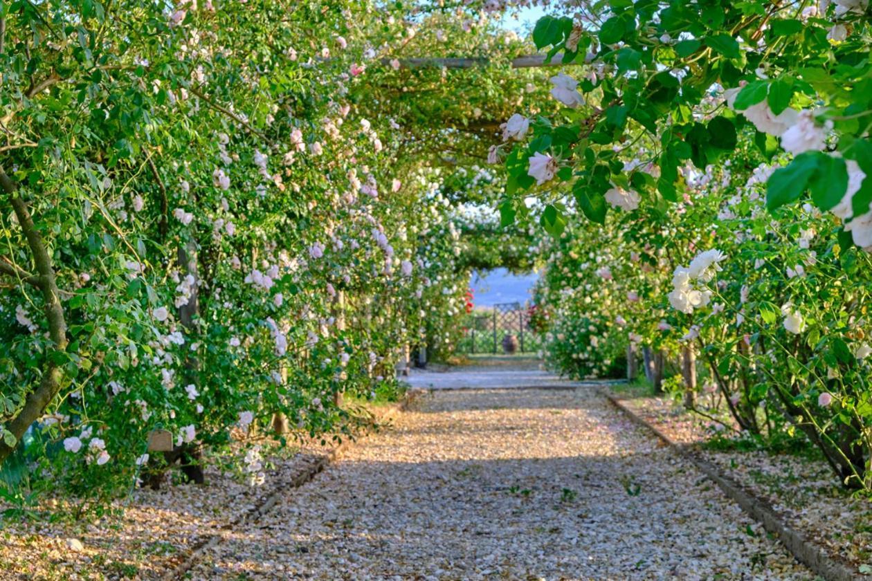 Il Fienile Di Assisi Villa Eksteriør bilde