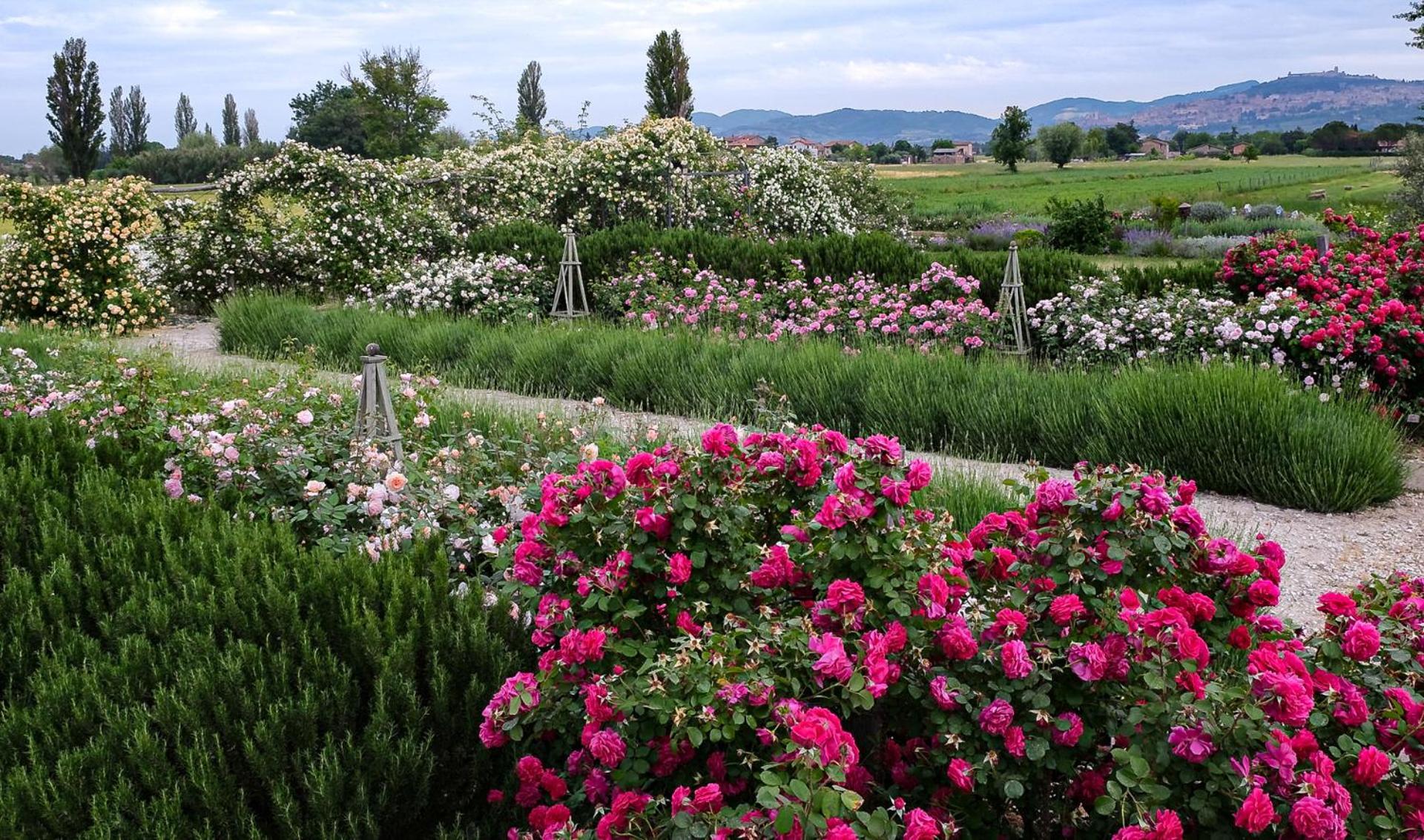 Il Fienile Di Assisi Villa Eksteriør bilde