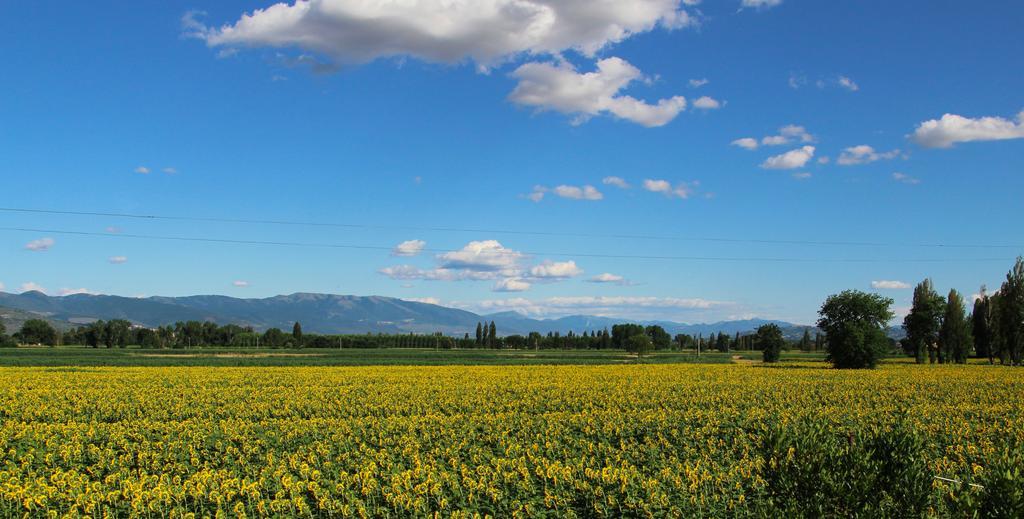 Il Fienile Di Assisi Villa Eksteriør bilde