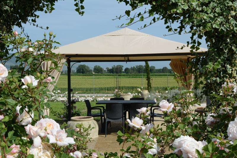 Il Fienile Di Assisi Villa Eksteriør bilde
