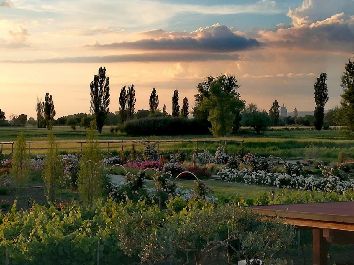 Il Fienile Di Assisi Villa Eksteriør bilde