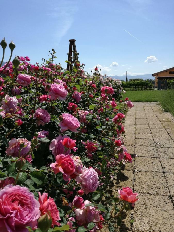 Il Fienile Di Assisi Villa Eksteriør bilde
